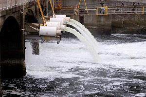 污水消泡剂的应用场景 污水消泡剂的应用场景